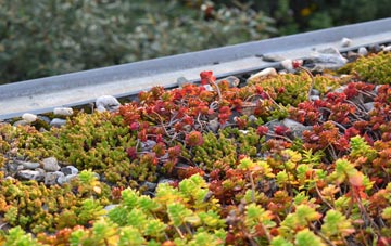 the cost of Golan green roof installation