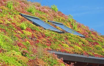 Golan living roof systems