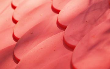 Golan plastic roof costs