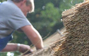 professional Golan thatchers