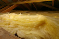 Golan pitch roof insulation